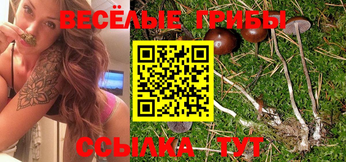 Псилоцибиновые грибы прущие грибы  Псилоцибиновые грибы мухоморы  Назарово  купить   Вход с VPN 